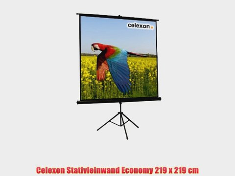 Celexon Stativleinwand Economy 219 x 219 cm
