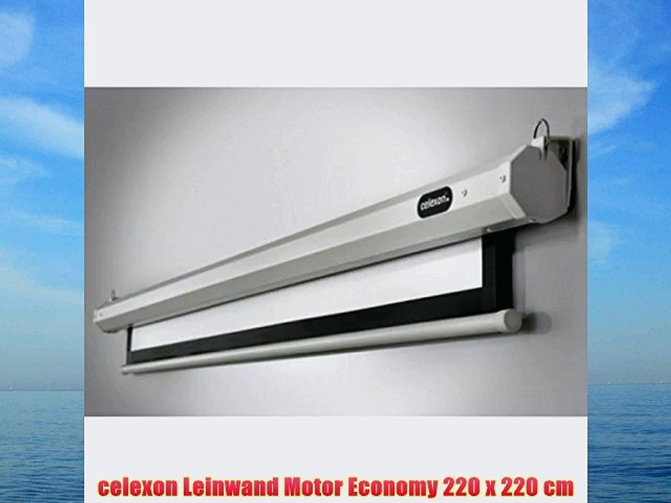 celexon Leinwand Motor Economy 220 x 220 cm