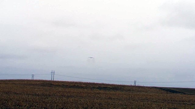 World's Largest Flying Aircraft Antonov An-225 Crosswind Landing!!!