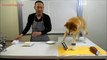 Un cuisinier japonais et son assistant pas très doué en cuisine : normal c'est un chien
