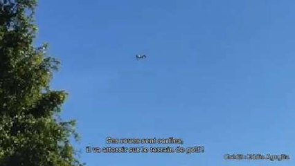 Harrison Ford : son avion filmé juste avant le crash