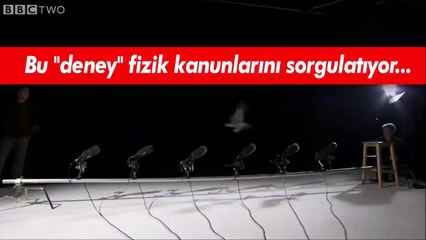 Fizik kanunlarını sorgulatan deney. Mutlaka İzleyin