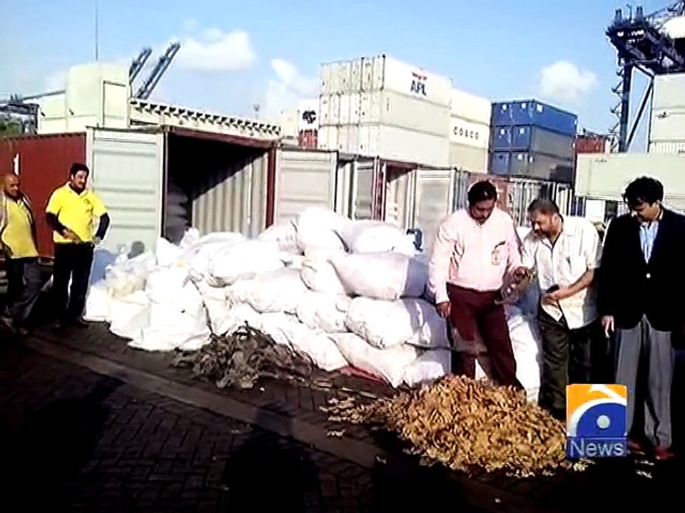 Karachi: Customs seizes thousands Turtles-06 Mar 2015