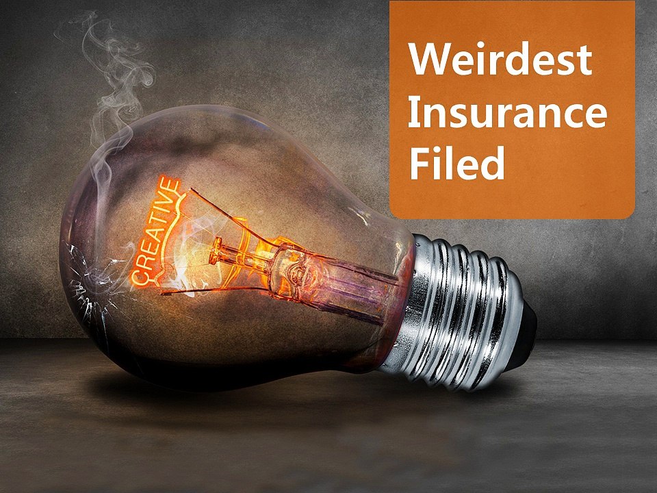 Weirdest Insurance Filed