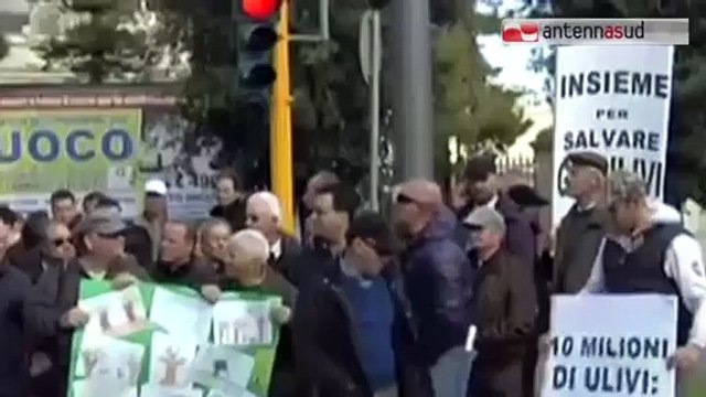 TG 05.03.15 Xylella: marcia su Roma, gli agricoltori si rivolgono al Papa