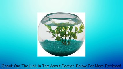 Aquarius BL2.25GLS 1/2-Gallon Glass Bowl Review