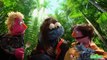 Sesame Street  The Hungry Games- Catching Fur (Hunger Games  Catching Fire Parody)