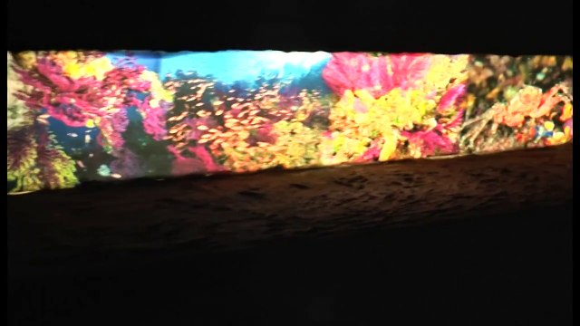 Napoli - Città della Scienza riapre a due anni dal rogo (05.03.14)