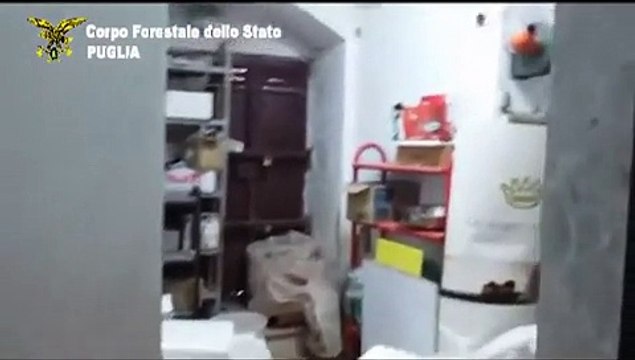Terlizzi (Bari) - Sequestrati 7 quintali di salumi e formaggi in deposito fatiscente (05.03.15)