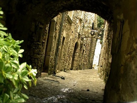 Minuscule : La Vie privée des insectes saison 1 E72 Mouche Folle