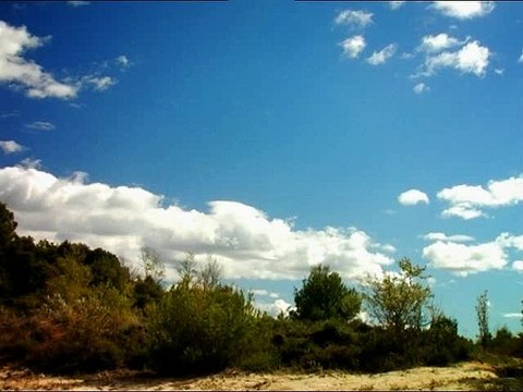 Minuscule : La Vie privée des insectes saison 1 E78 c'est Noel