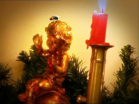 Minuscule : La Vie privée des insectes saison 1 E61 Mon Beau Sapin