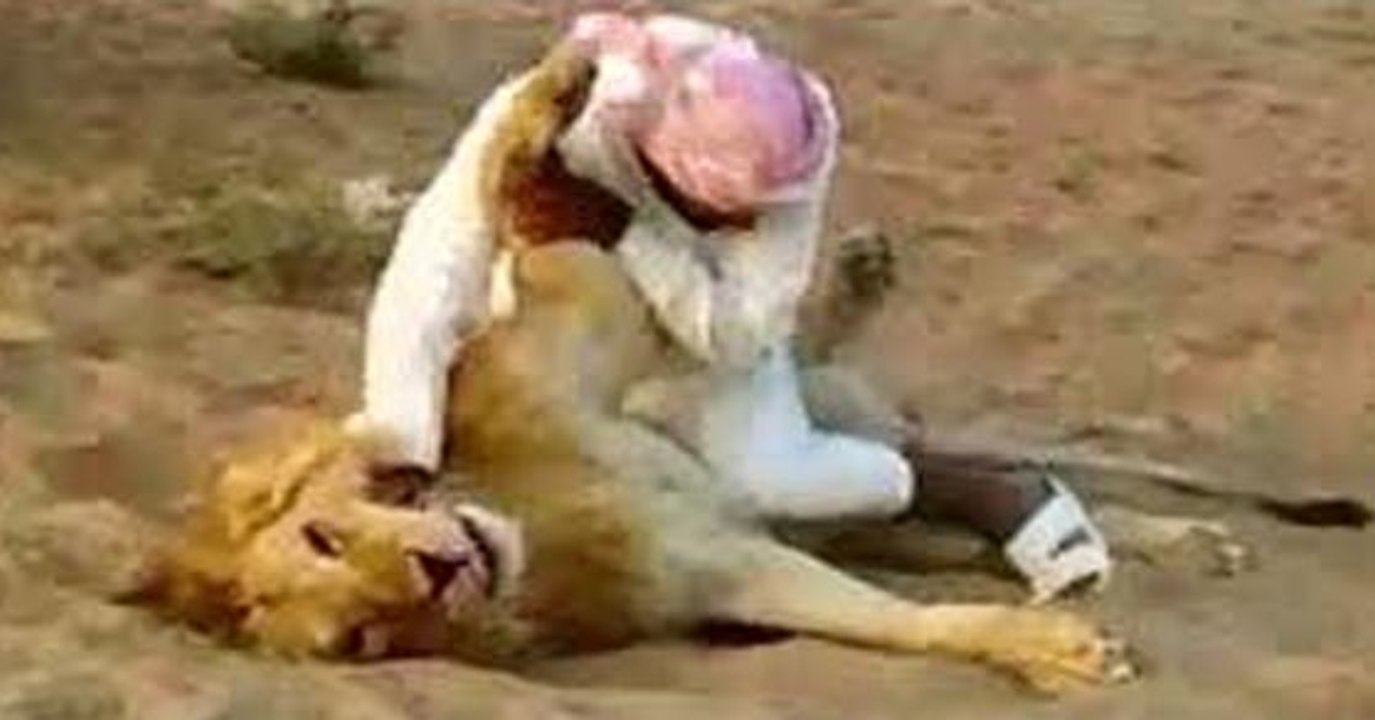 Man vs Lion
