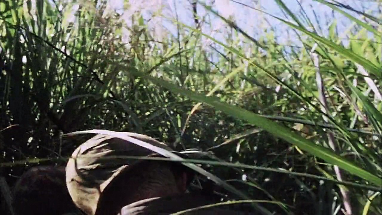 VIETNAM CAP 2, ESPAÑOL LATINO