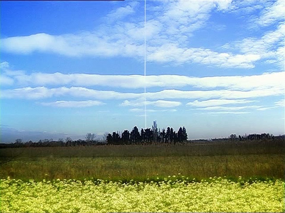 Minuscule : La Vie privée des insectes saison 1 E65bToiles d'Interieur