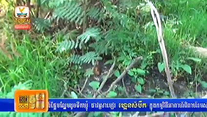 Khmer News, Hang Meas News, HDTV, 06 March 2015, Part 07