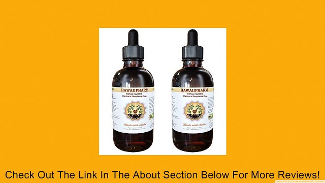 Nopal Cactus Liquid Extract, Nopal Cactus (Optunia Streptacantha) Powder Tincture Herbal Supplement Review