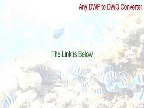 Any DWF to DWG Converter Keygen - any dwf to dwg converter 2010 registration code [2015]