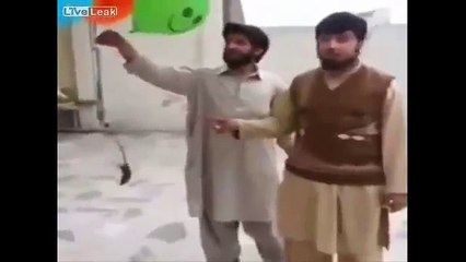 Parasını Yiyen Fareyi Gökyüzüne Salmak