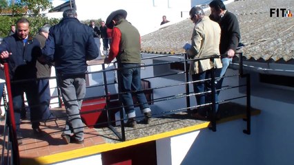 Desembarque novillada Olivenza día 6 marzo