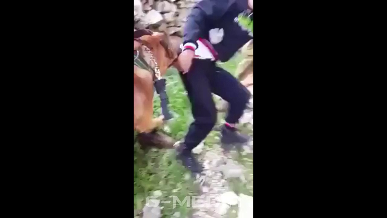 Don't Mess Up With Police Trained Dog