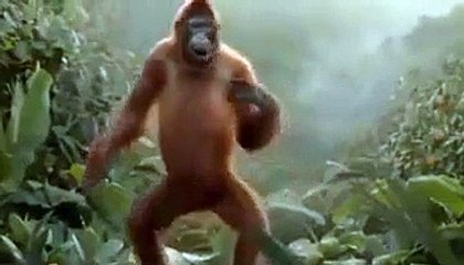 2015 new style verry funny vedio