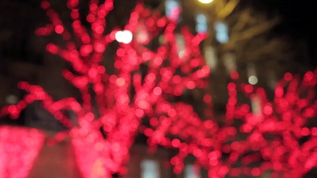 Interview de Alber Elbaz au défilé Lanvin