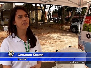 ГМ-комары помогают победить Денге в Бразилии