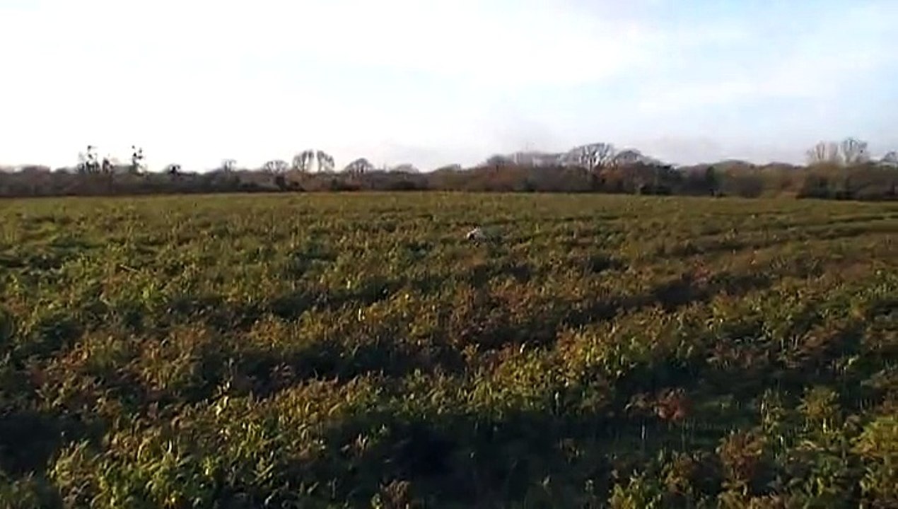 Jox 10 mois arrêt sur caille