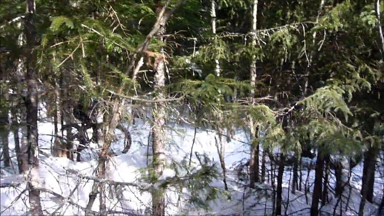 Raquette Mont Ste Anne 07 mars 2015