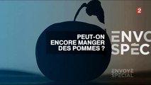 Mangez des pommes: 5 fruits et légumes par jour pour une bonne santé !