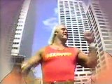 Hulk Hogan's Rock 'N' Wrestling 21 The Art Of Wrestling & The Blue Lagoons (Animated80's)