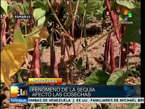 Campesinos hondureños sufren de hambre y represión del Estado