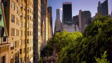 BROADWAY THERAPY Bande-Annonce VF