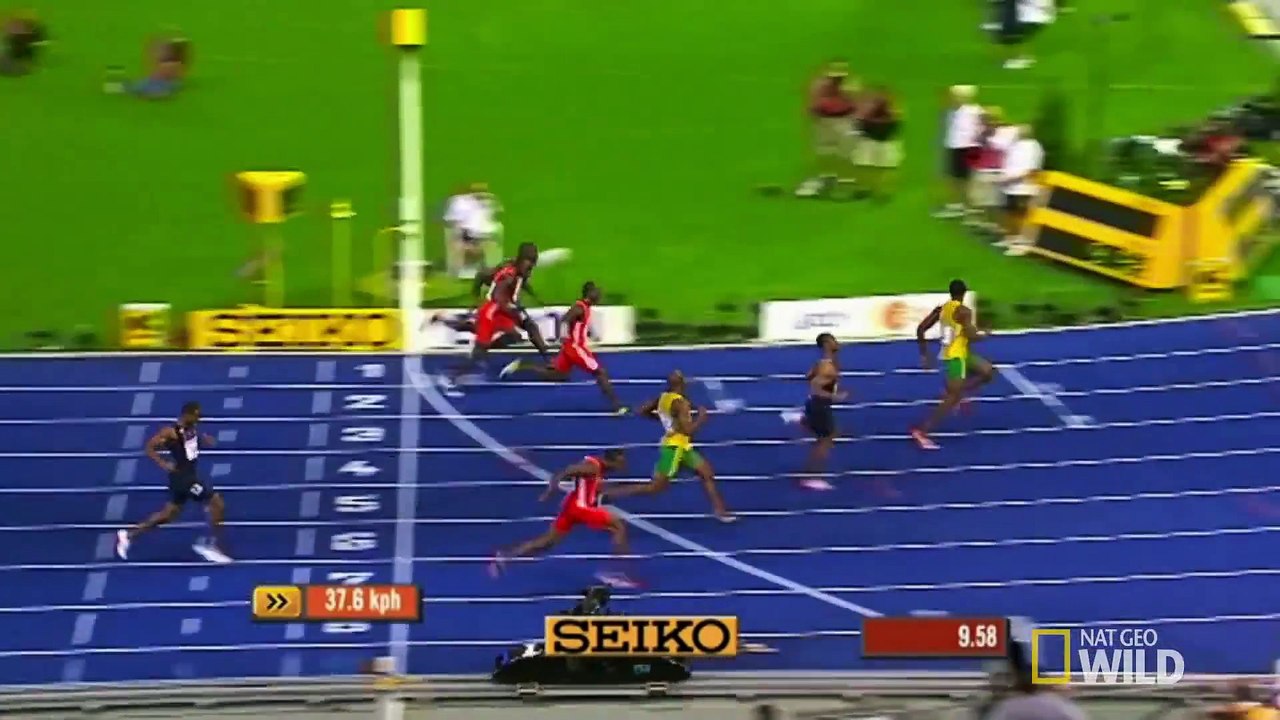Usain Bolt vs. a Cheetah