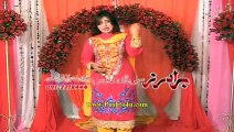 Pashto Films Tamashbeen Hits Part 12