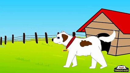 There Was A Little Dog   Kids Songs & Nursery Rhymes In English With Lyrics