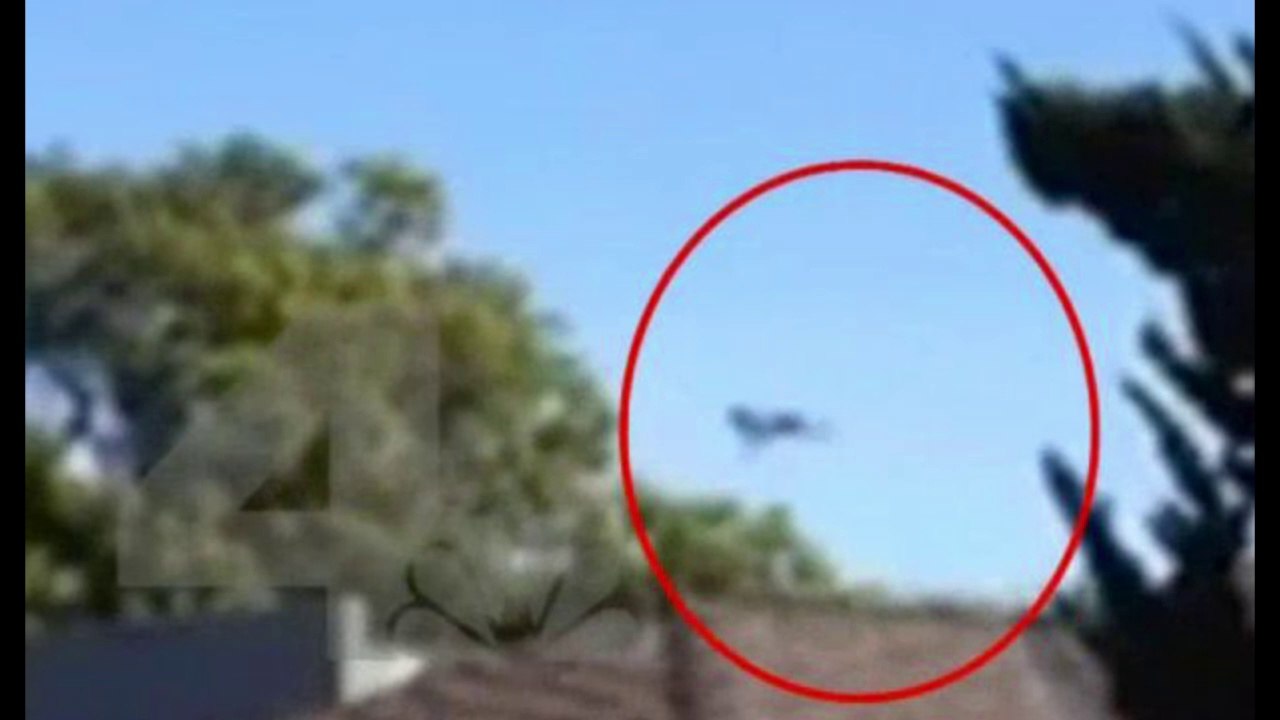VIDEO - captures Harrison Ford's plane crash live