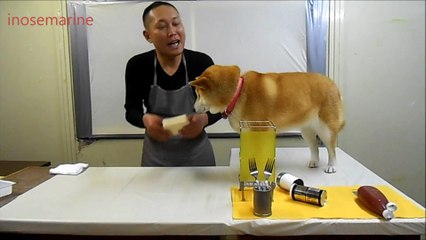 Cuisiner avec son chien
