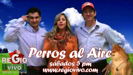 TERRITORIO GRUPERO 26 DE FEBRERO DEL 2015