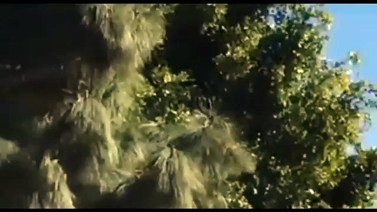 [RAW] Harrison Ford's Plane Flying Before Crash - Harrison Ford's Radio Call To Air Traffic Control