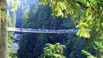 Capilano Suspension Bridge - British Columbia, Canada.