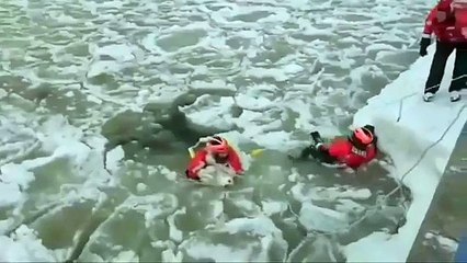 US coast guard saving a dog from a frozen river