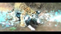 Love Between Baby Tiger & Dog Very Special video