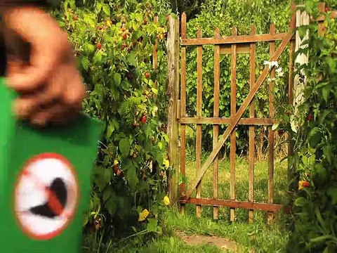 Minuscule La Vie privée des insectes saison 2 E15 La Nuit Des Gasteropodes