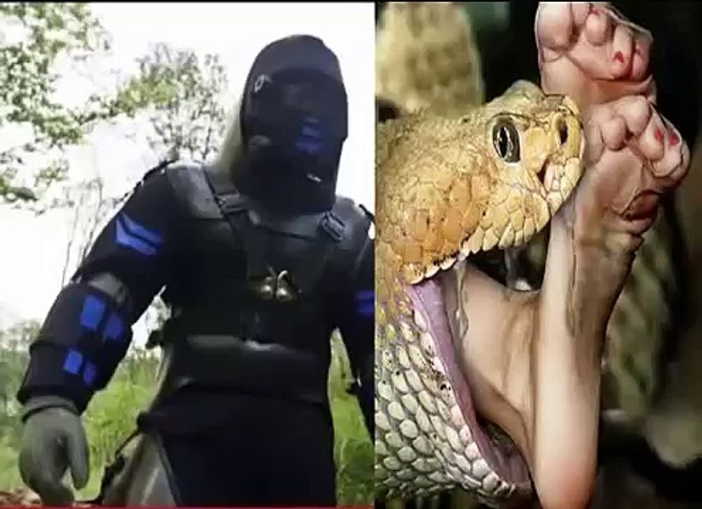 Python Eats A Man Graphic Live Discovery Channel 2015