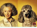 Dogs Who Look Like Their Owners. Get Your Pet Website!