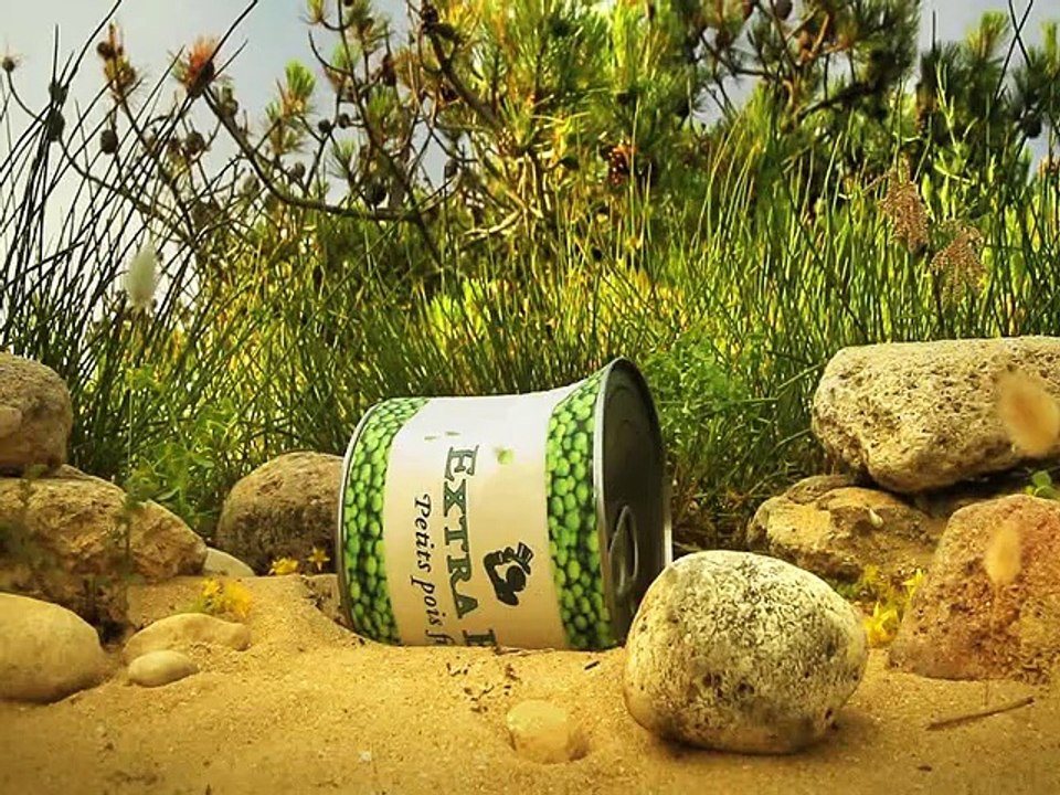 Minuscule  La Vie privée des insectes saison 2 E08 Puree De Pois