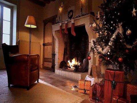 Minuscule La Vie privée des insectes saison 2 E04 Pomme De Noel