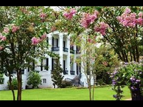 Gharon(Homes) mein tree plantation Tips by Dr.Ashraf Sahibzada